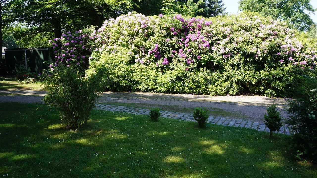 Lüneburg Exklusive Ferienwohnung Zwischen Uni Und Altstadt מראה חיצוני תמונה